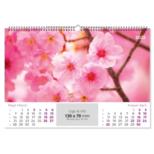 ������������ ��������� ����������� �������� 450x310 mm 