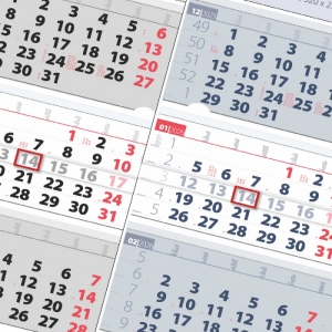 ������� ��������� ������� ��������� 4 ����, ����