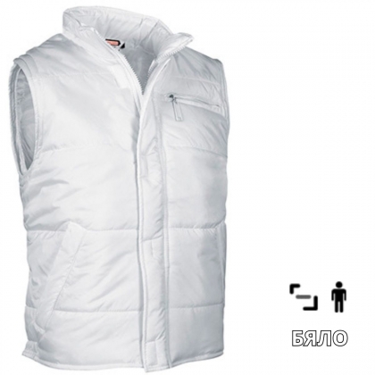   Artic
