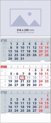  3   -  