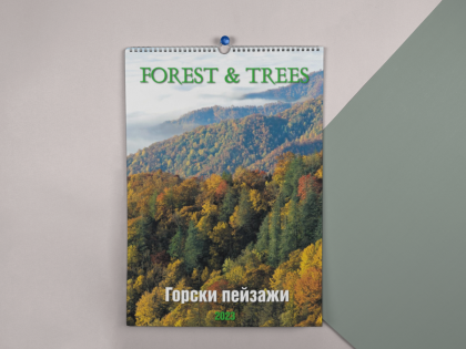 Горски пейзажи - Forests and trees