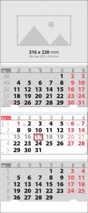 Елит - календар в сиво и червено
